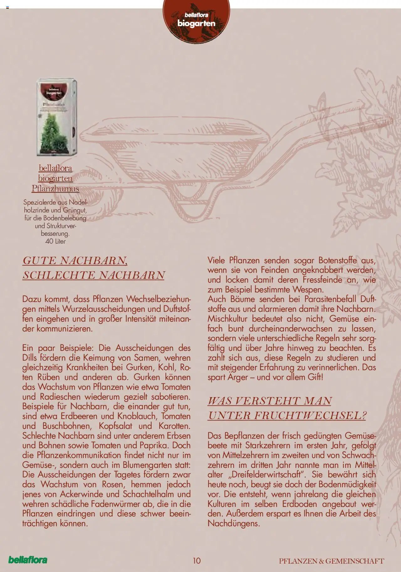 bellaflora Flugblatt