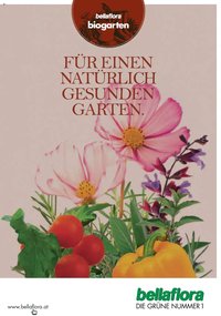 bellaflora Flugblatt