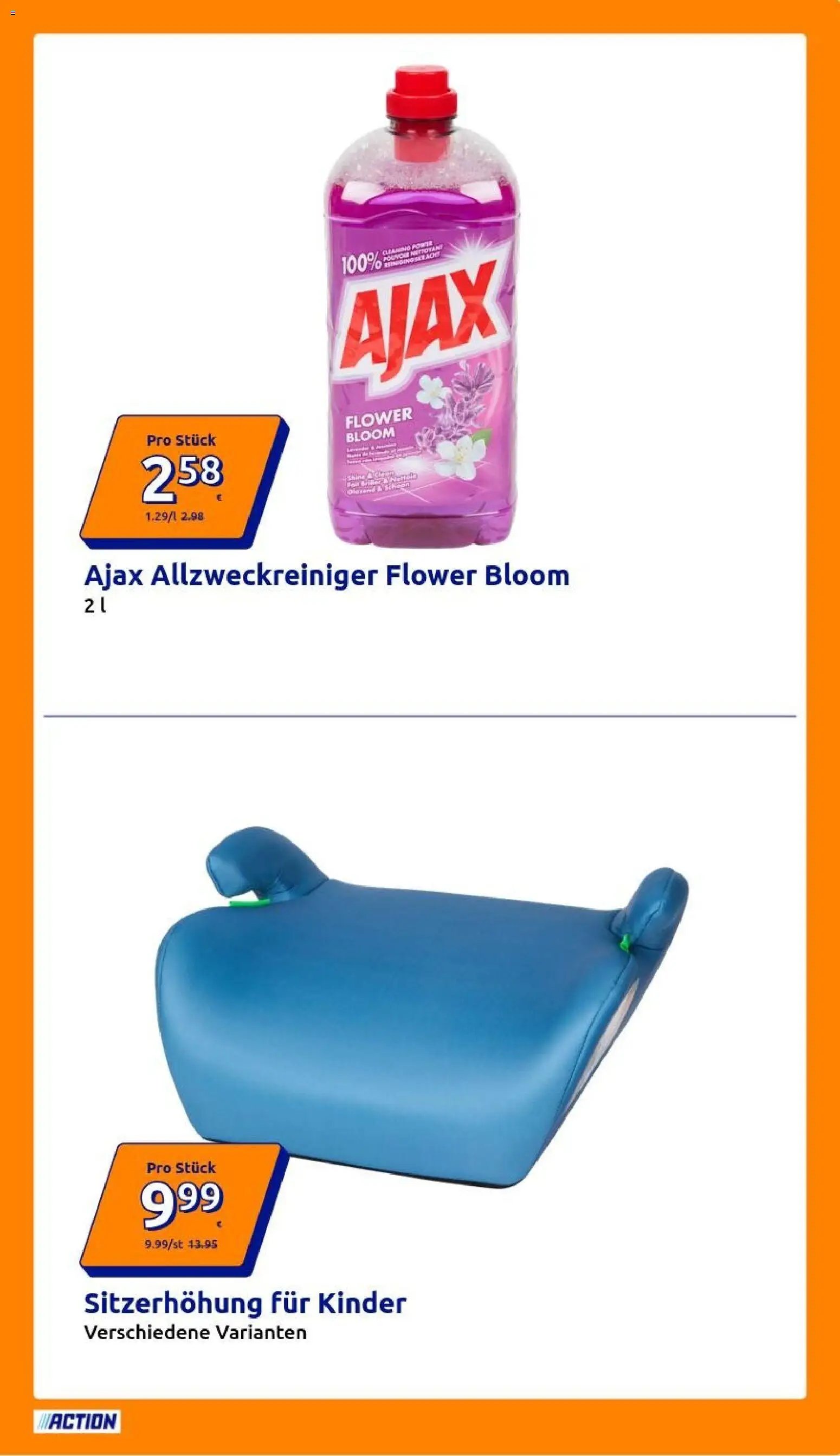 Action Flugblatt