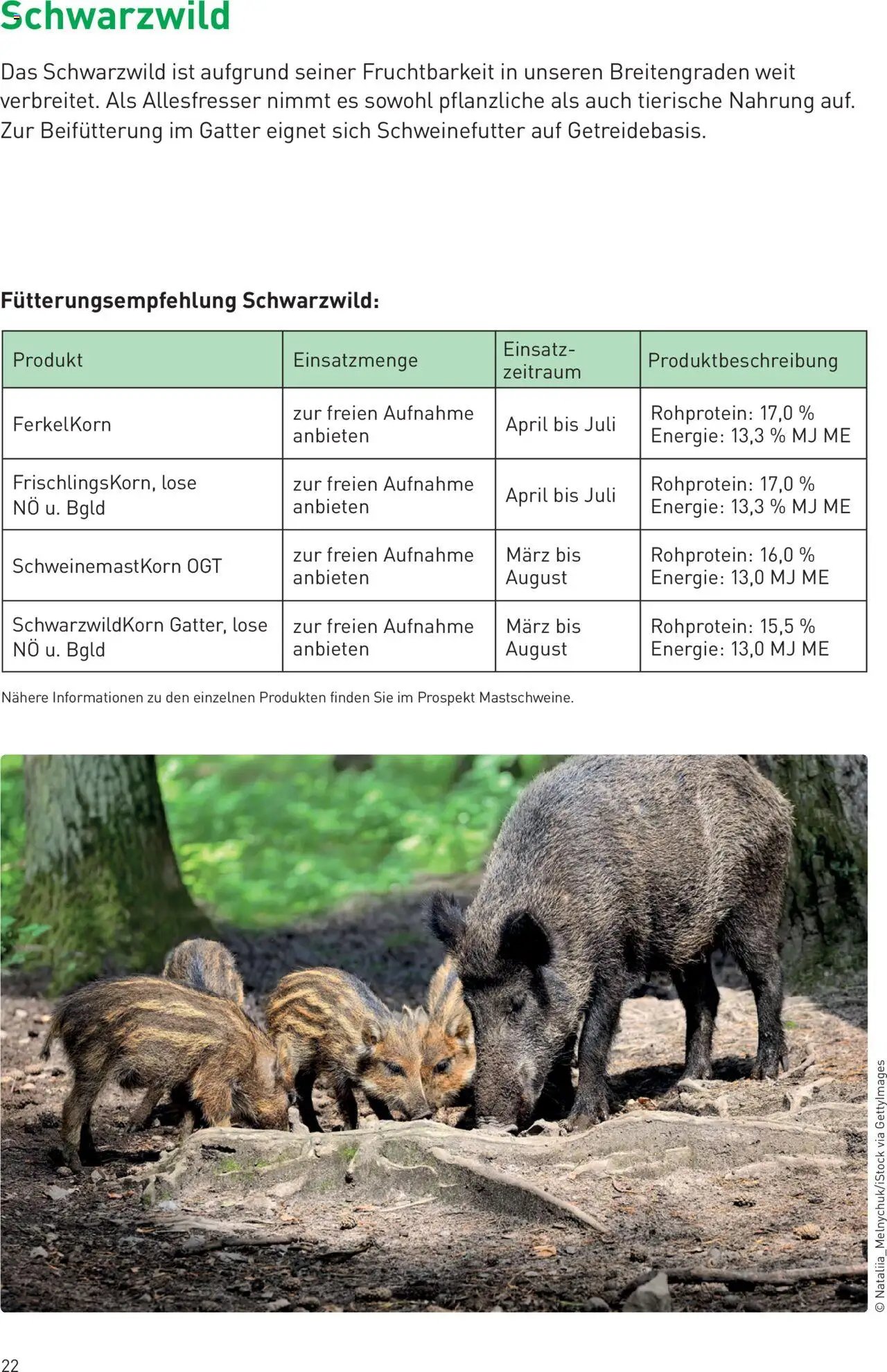 Lagerhaus TROPHY  WILDFUTTER