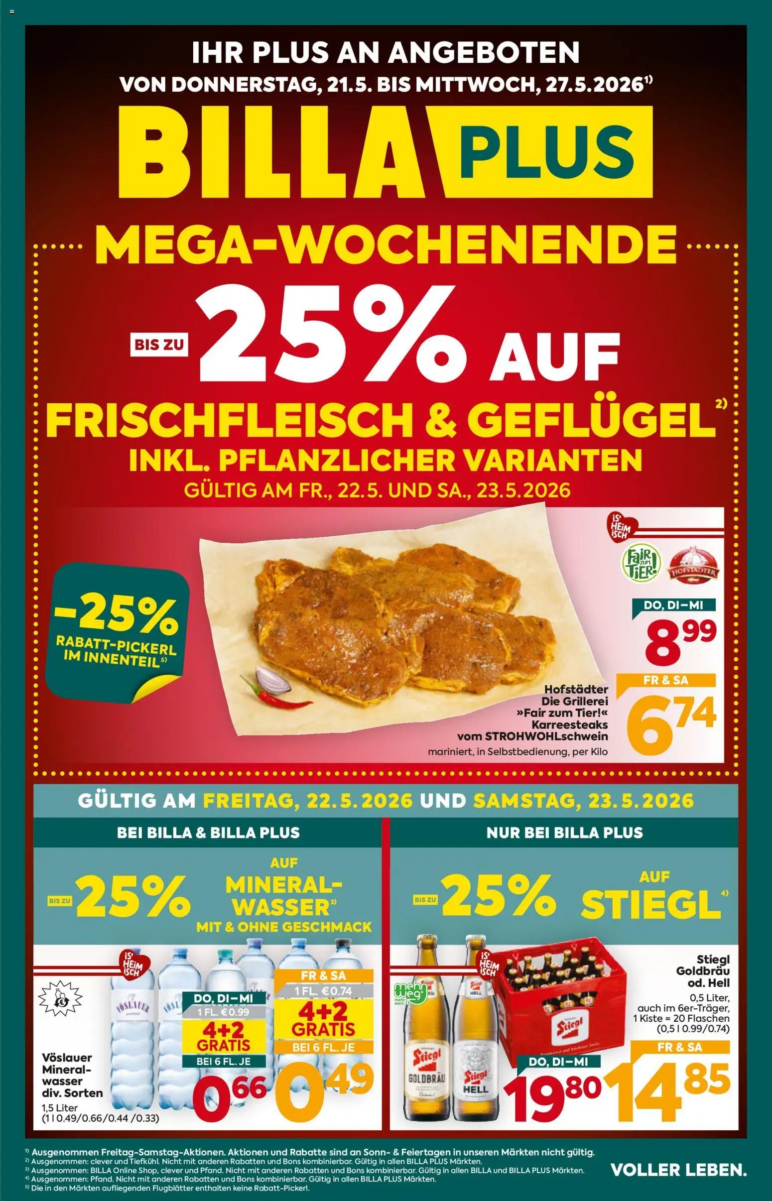 Billa Plus Flugblatt