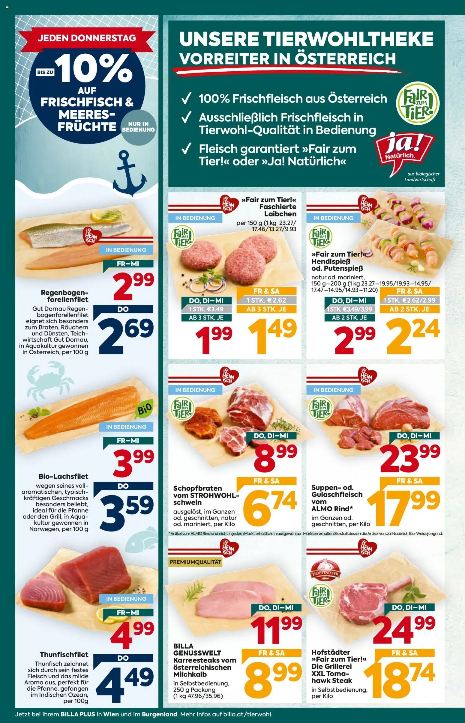 Billa Plus Flugblatt