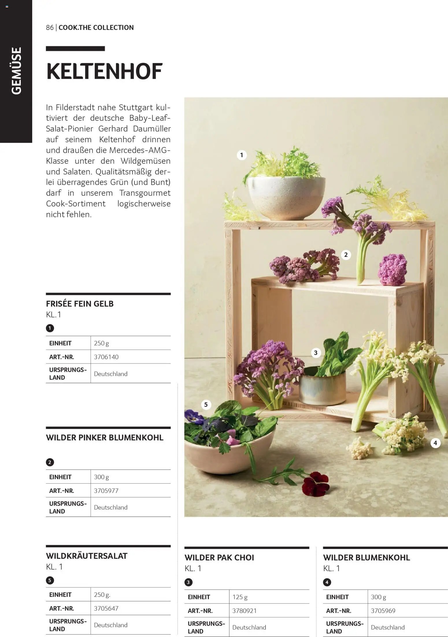 Transgourmet Cook Look-Book