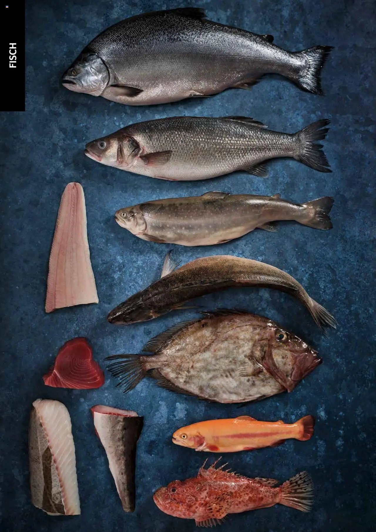 Transgourmet Cook Look-Book