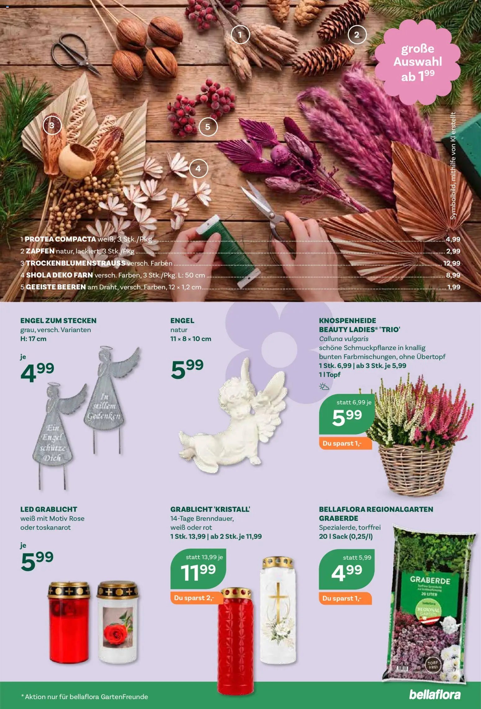 bellaflora Flugblatt