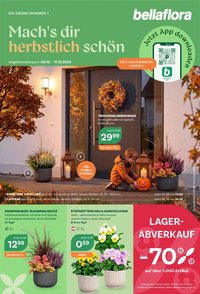 bellaflora Flugblatt