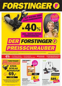 Forstinger Flugblatt