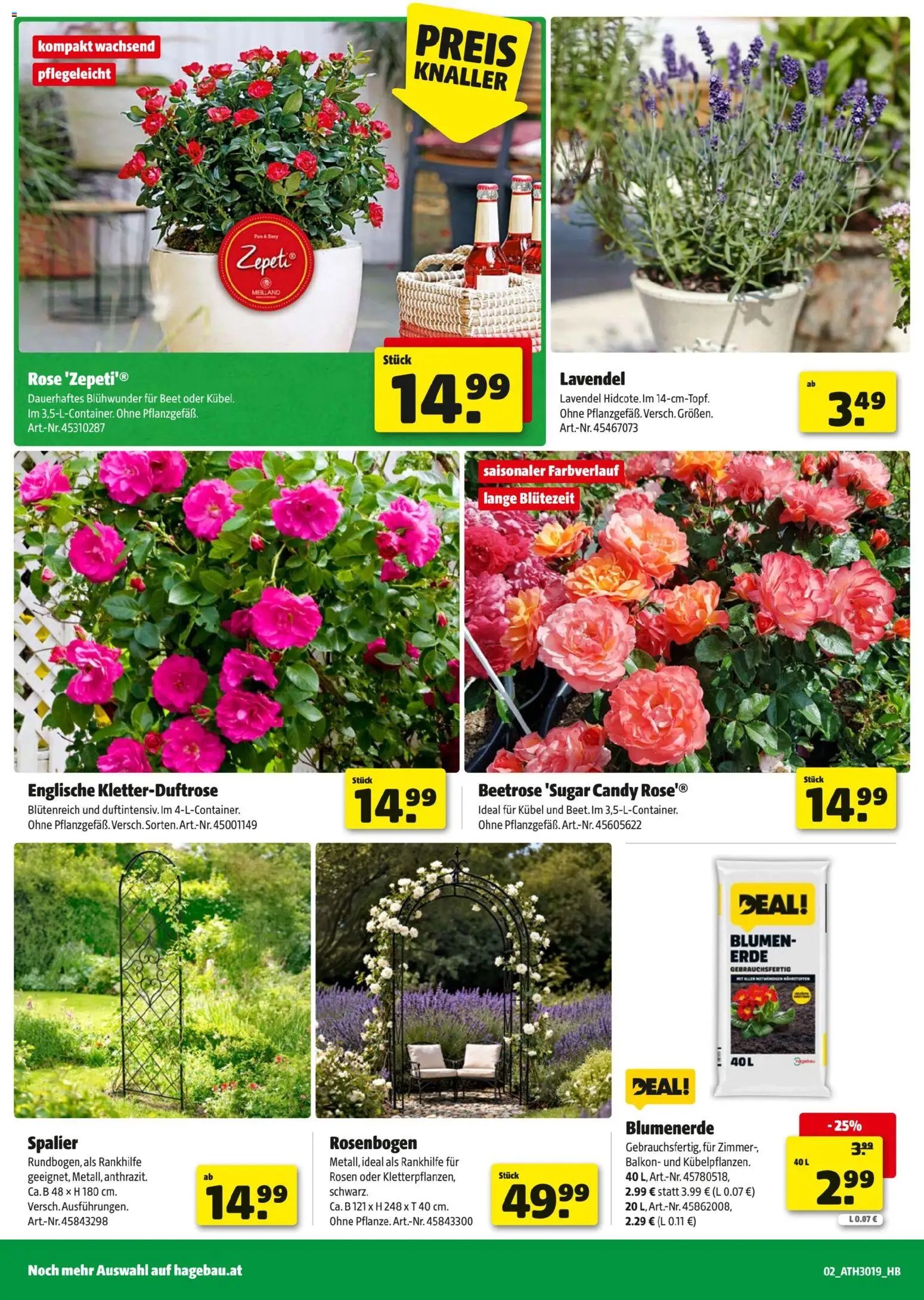 Hagebau Flugblatt