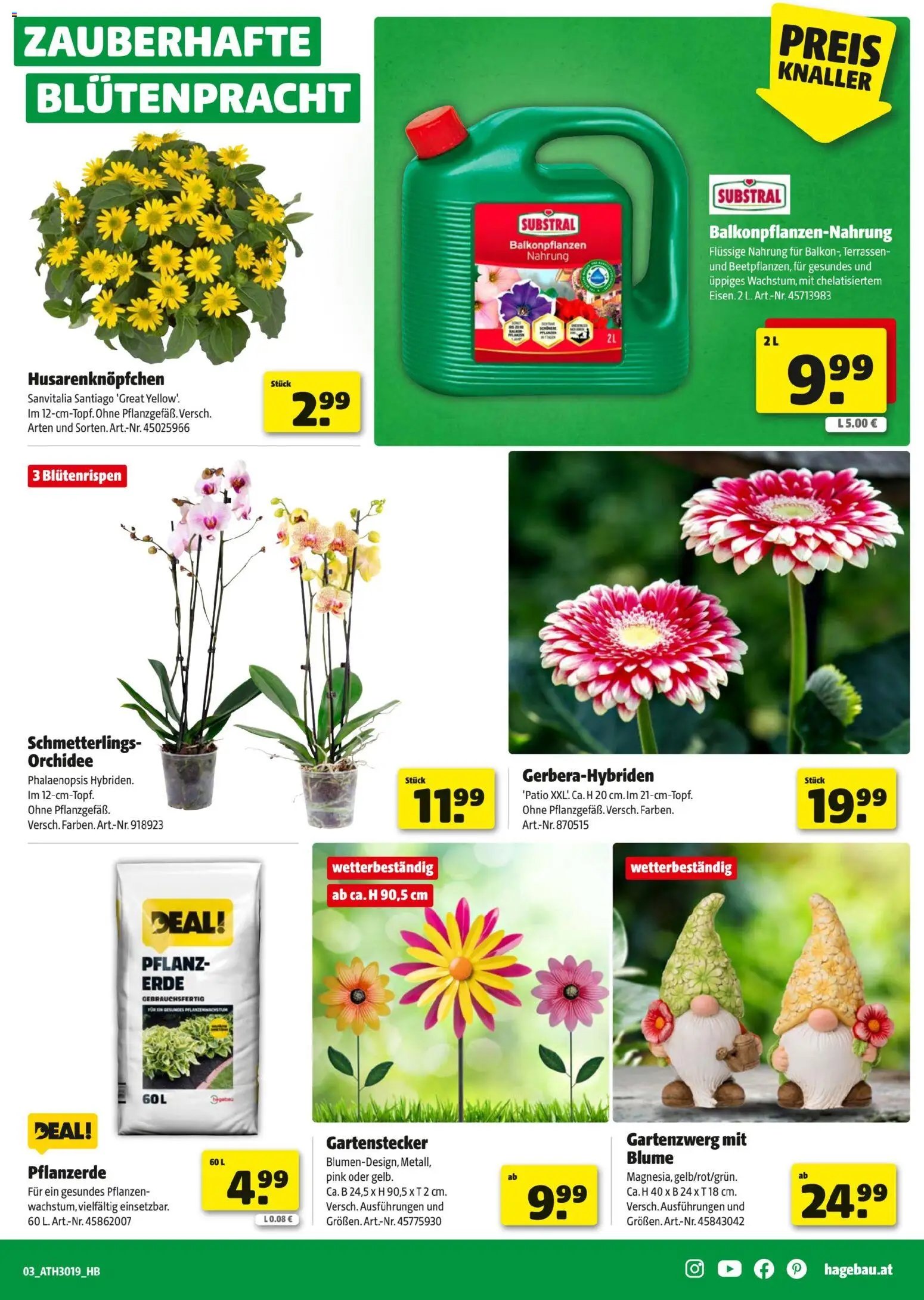 Hagebau Flugblatt