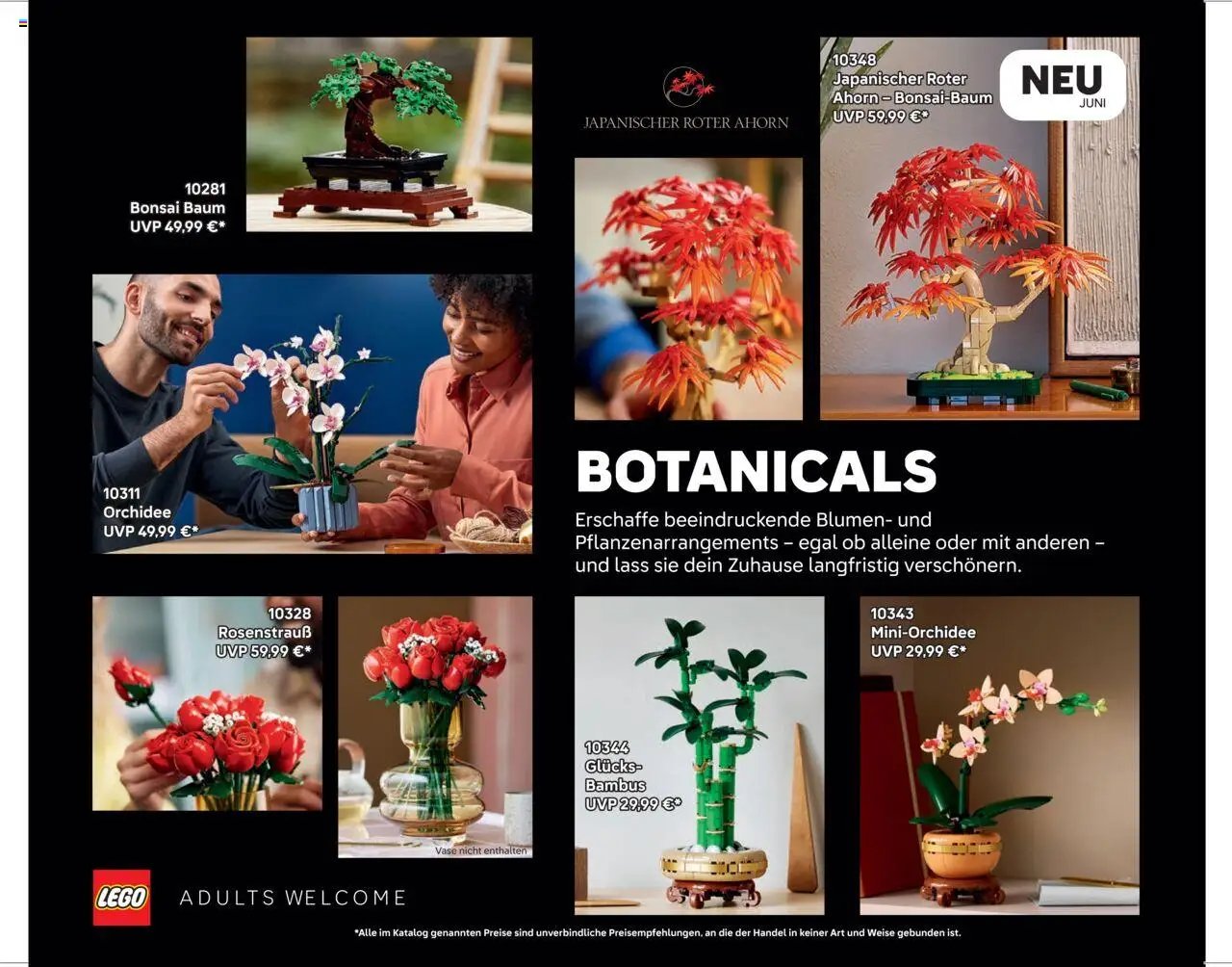 Lego Katalog September - Dezember 2025