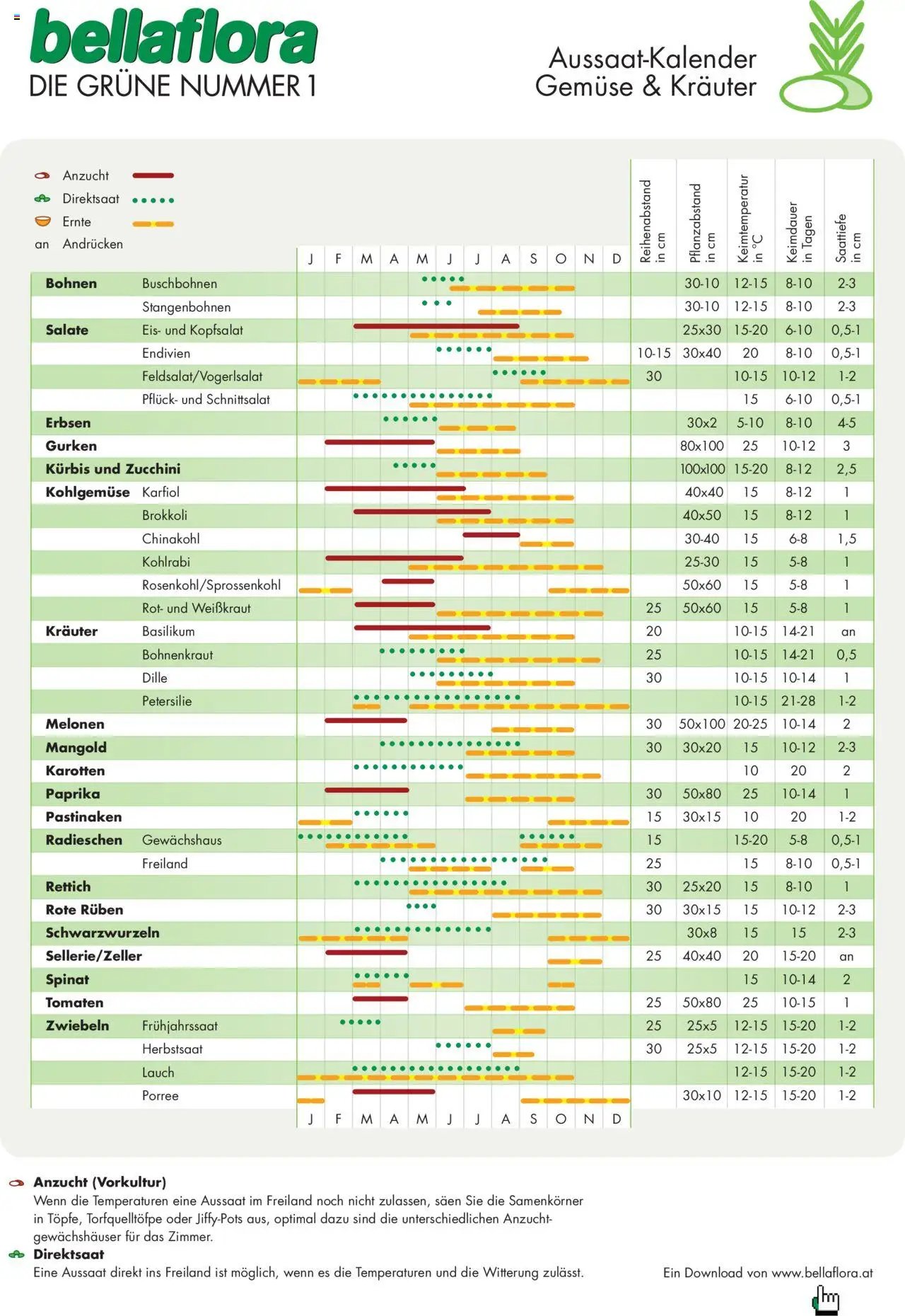 bellaflora - Aussaat-Kalender Gemüse und Kräuter