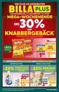 Billa Plus Flugblatt