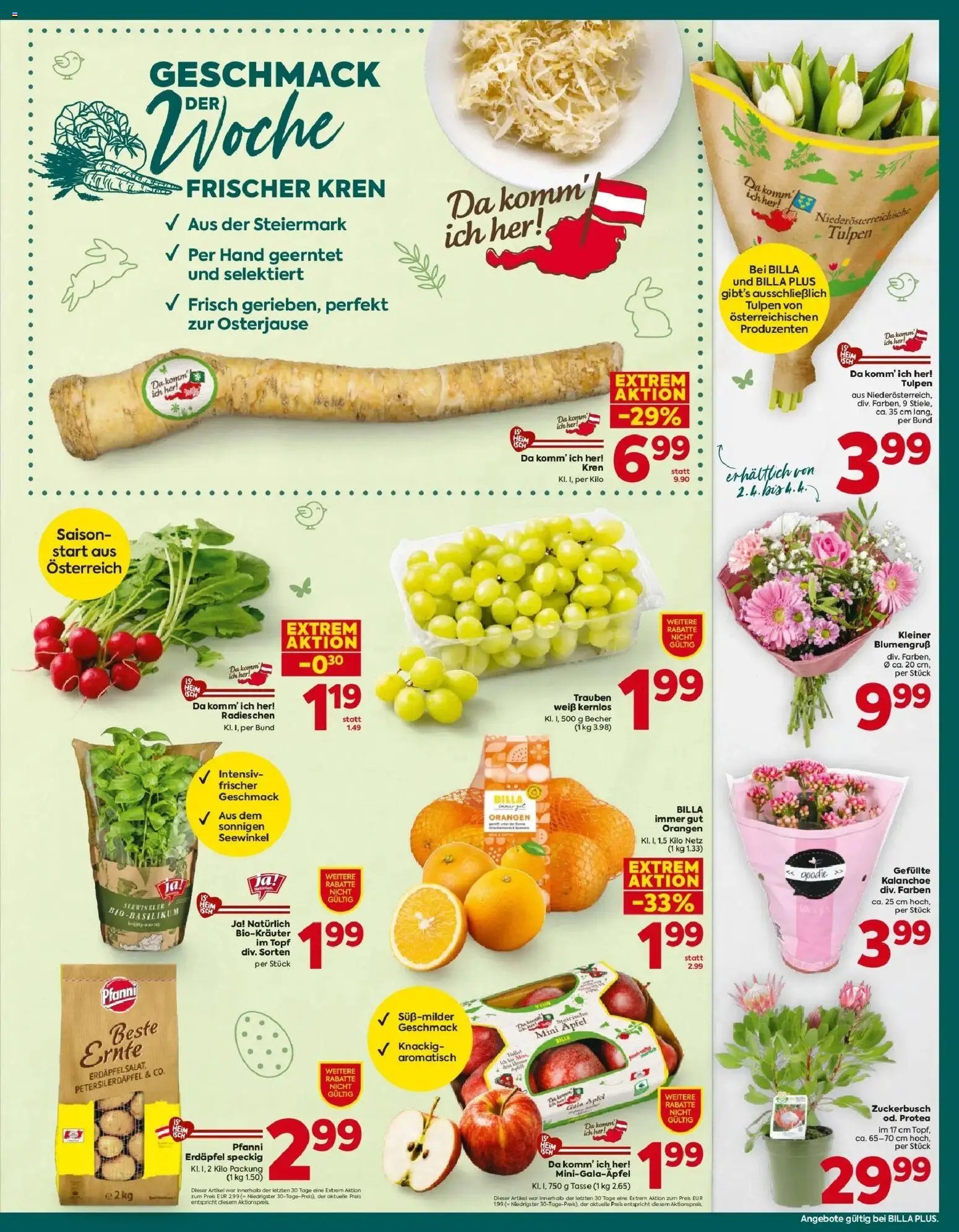 Billa Plus Flugblatt - Burgenland