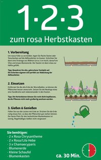 bellaflora - 1-2-3 zum rosa Herbstkasten