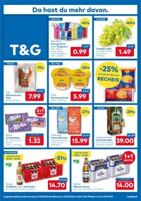 T&G Flugblatt