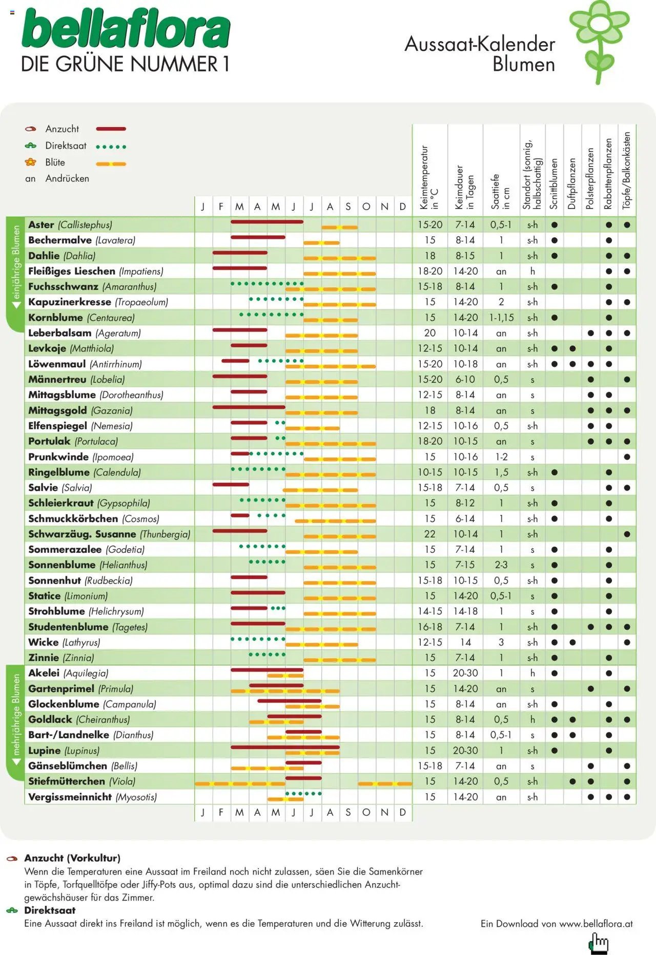 bellaflora - Aussaat-Kalender Blumen