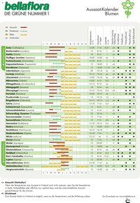 bellaflora - Aussaat-Kalender Blumen