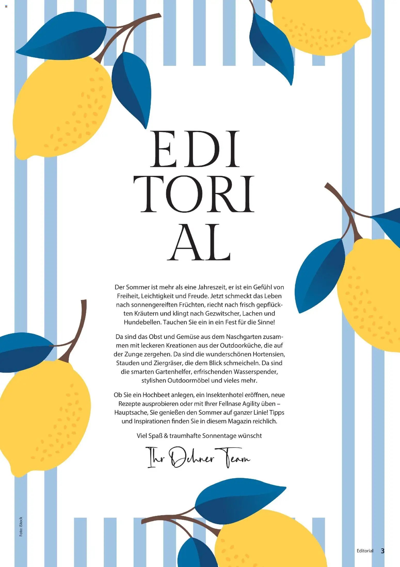 Dehner Flugblatt