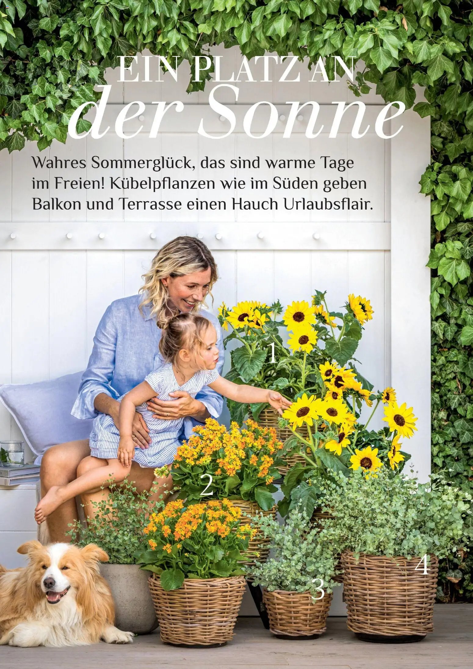 Dehner Flugblatt
