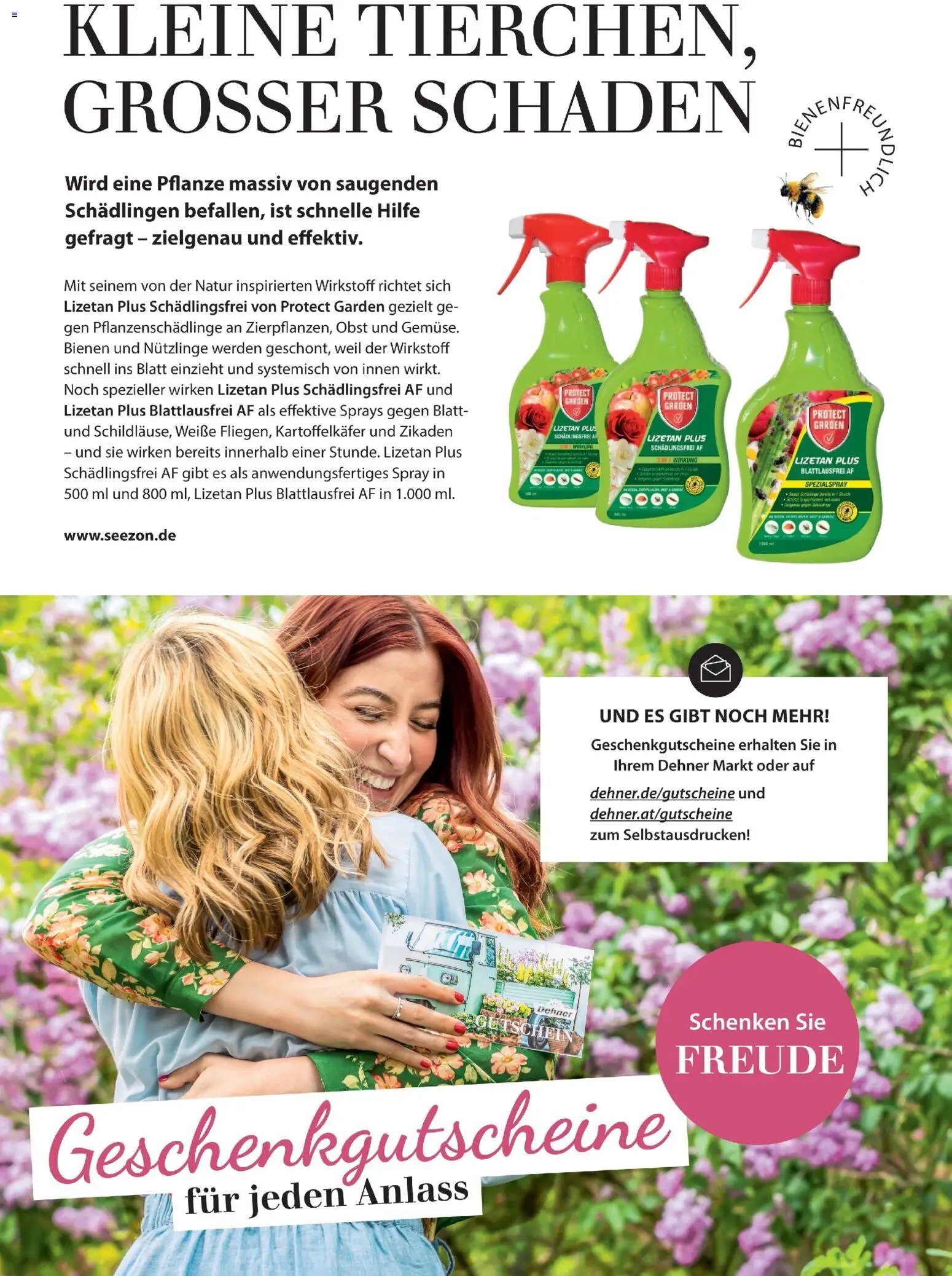 Dehner Flugblatt