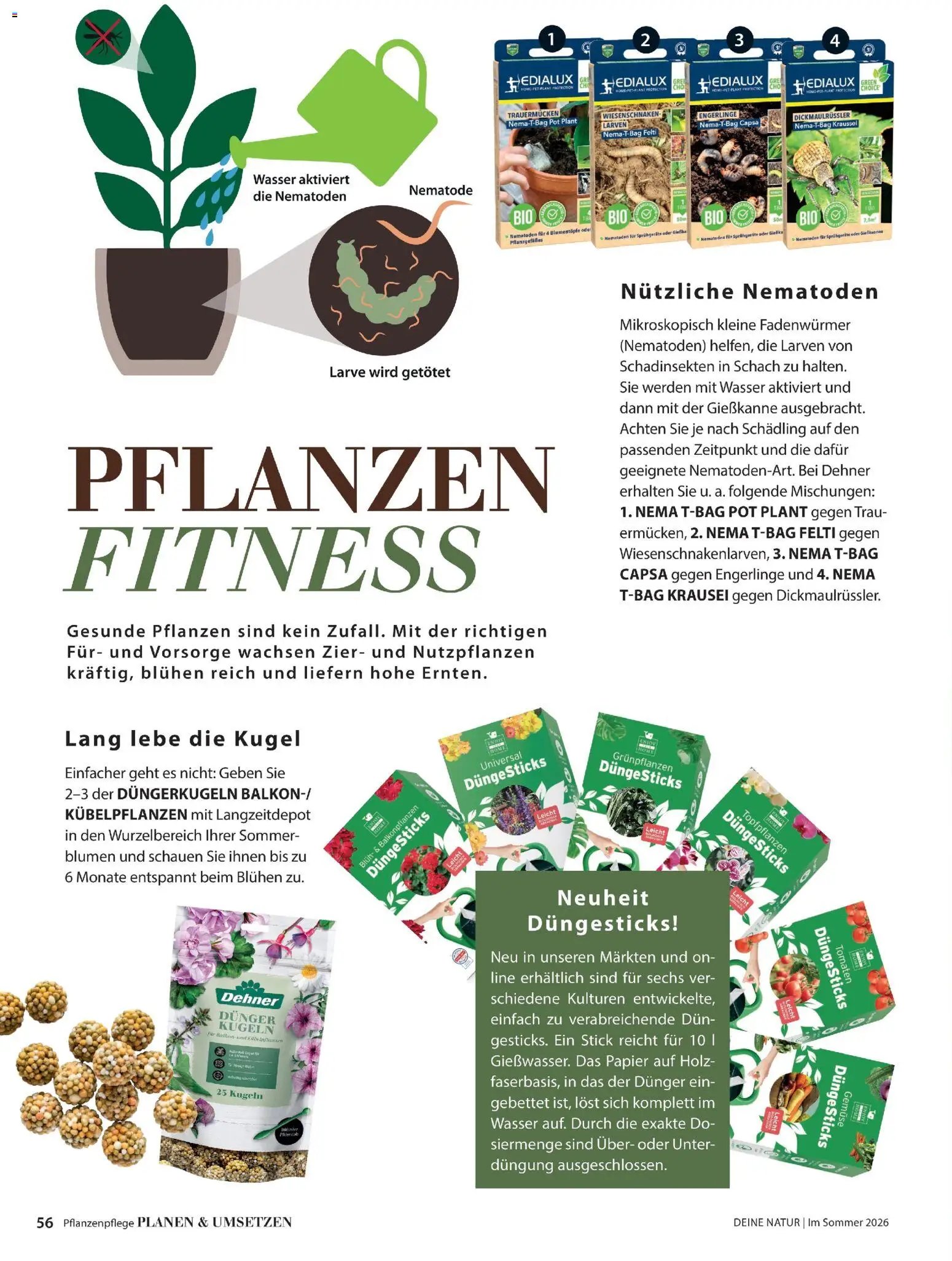 Dehner Flugblatt