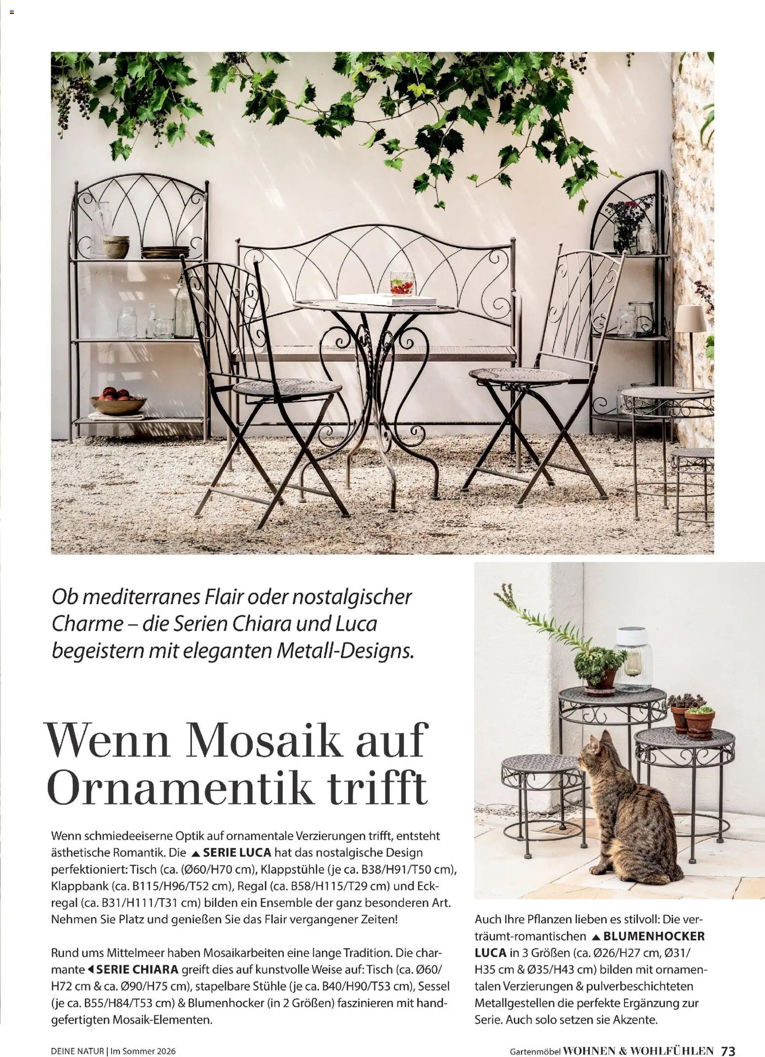 Dehner Flugblatt