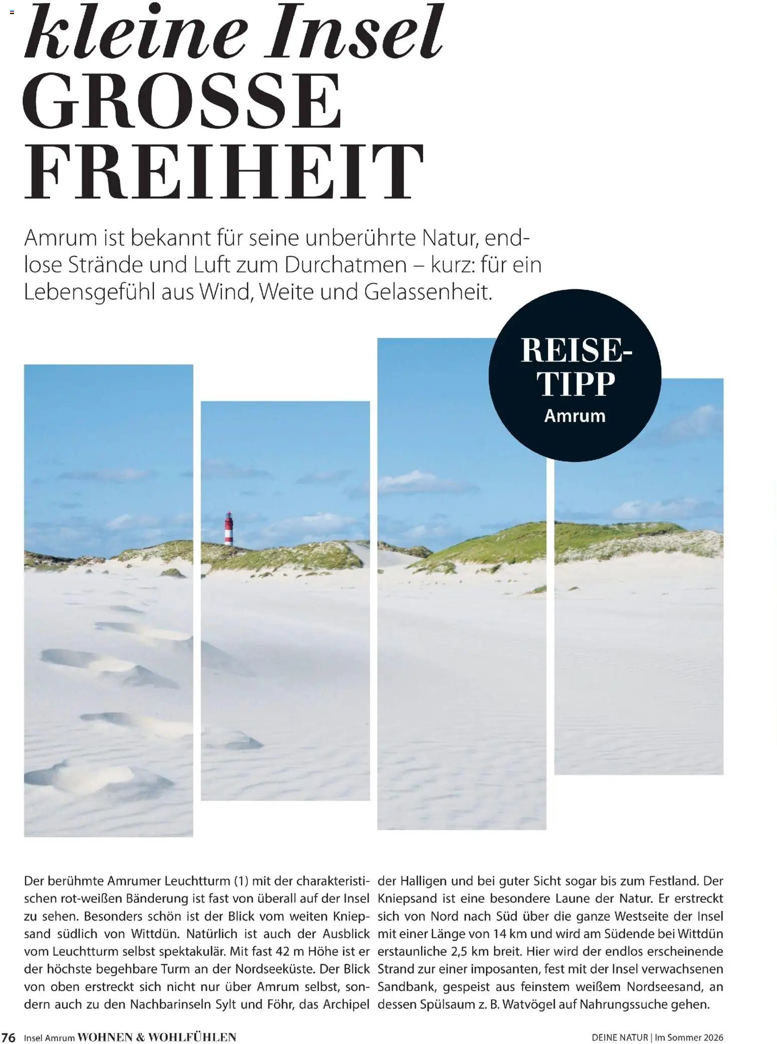 Dehner Flugblatt