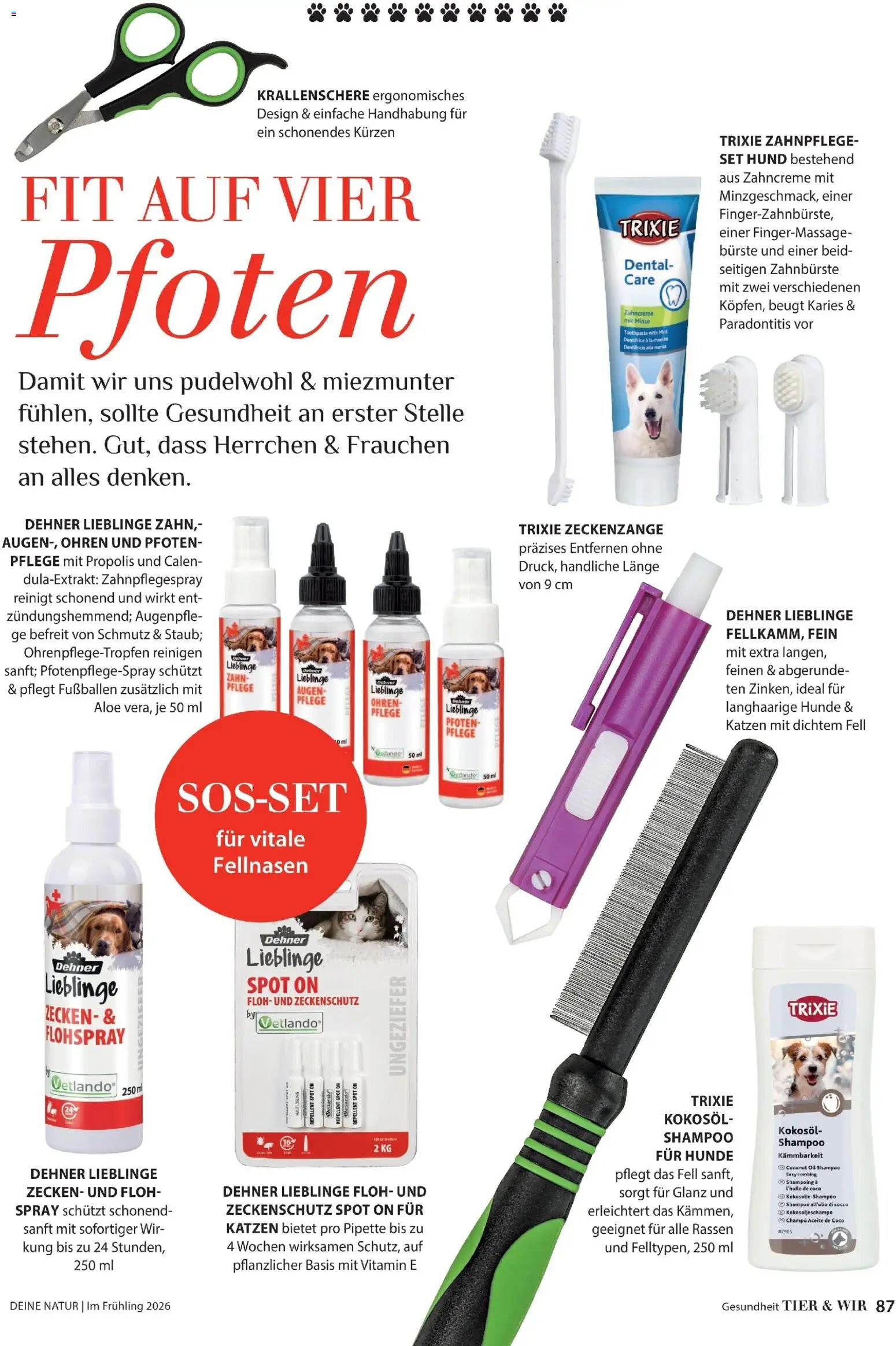 Dehner Flugblatt