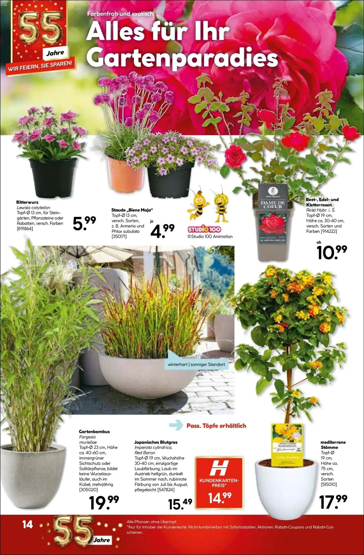 HELLWEG Kirchdorf An Der Krems	