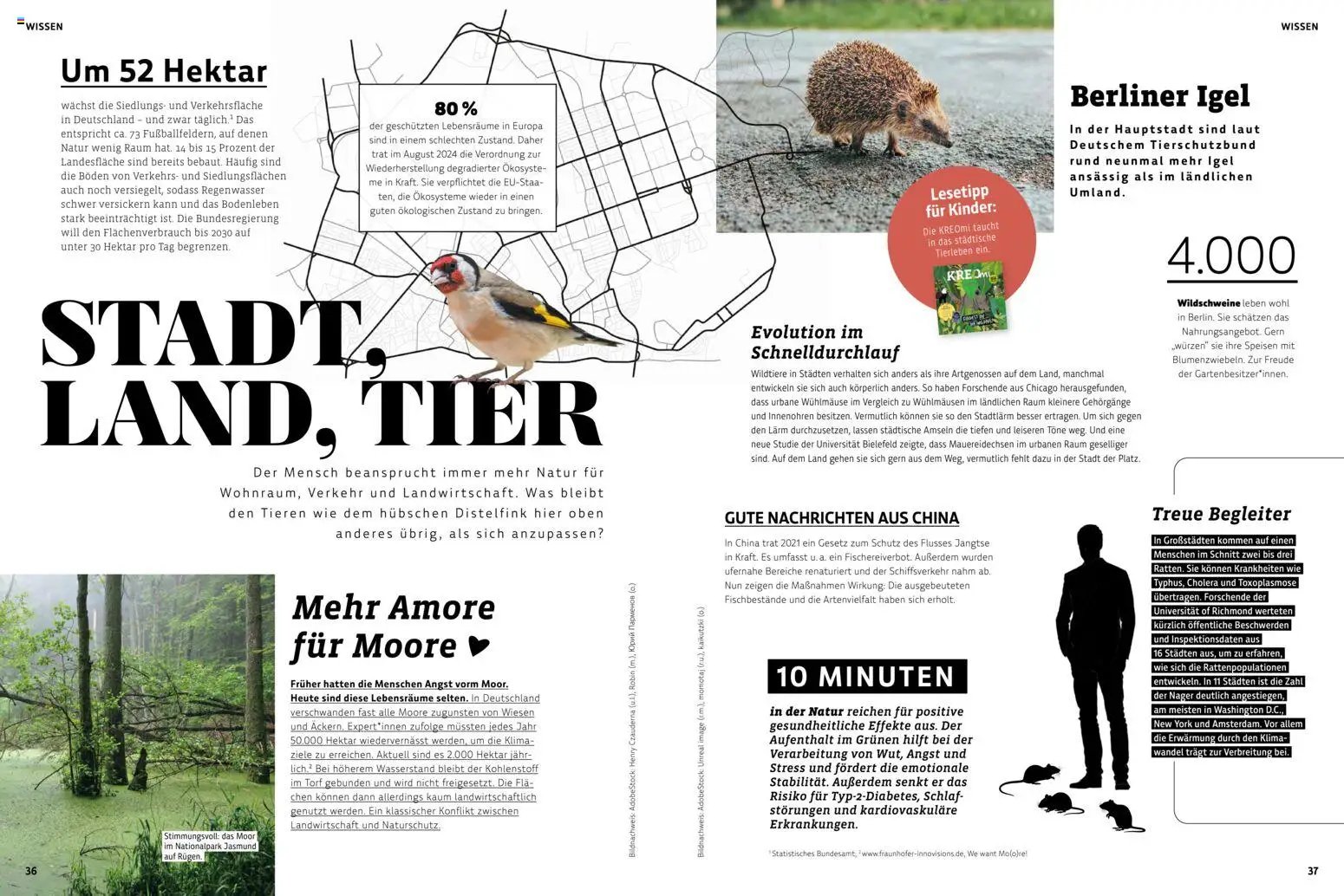 Denns BioMarkt KREO Magazin