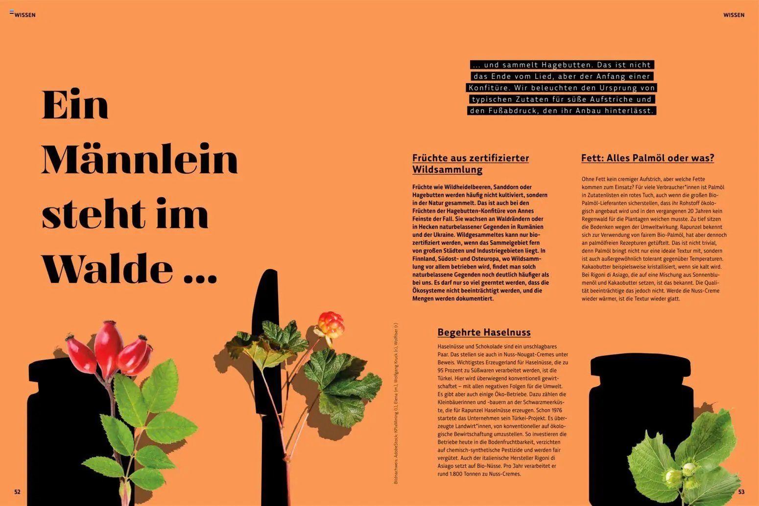 Denns BioMarkt KREO Magazin