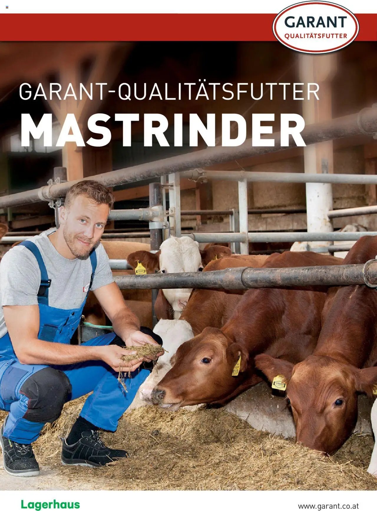 Lagerhaus Qualitätsfutter für Mastrinder