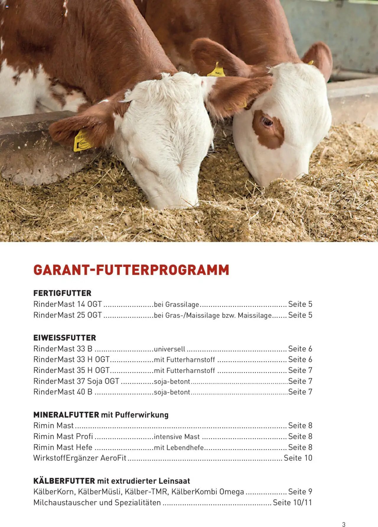 Lagerhaus Qualitätsfutter für Mastrinder