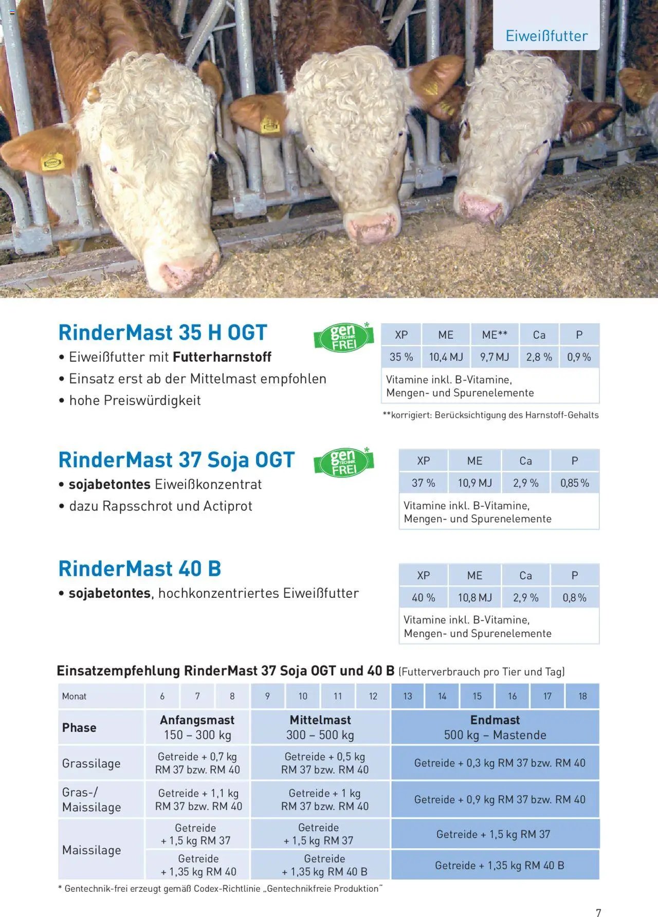Lagerhaus Qualitätsfutter für Mastrinder