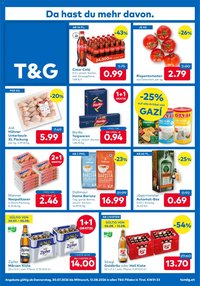 T&G Flugblatt