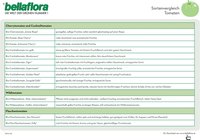 bellaflora - Sorten Tomaten