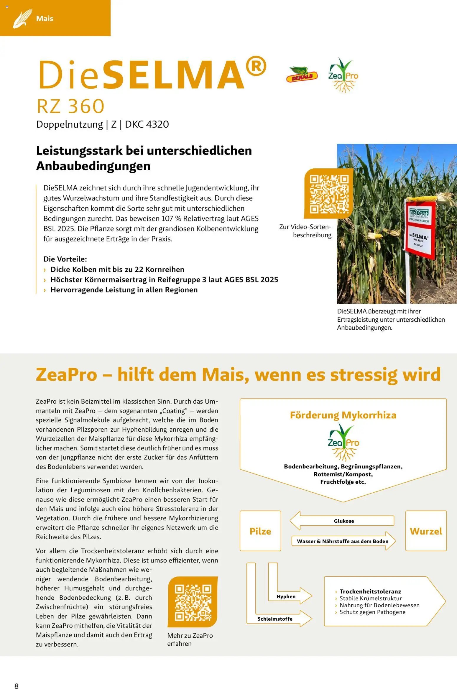 Lagerhaus - Frühjahr 2026 Westliches Niederösterreich