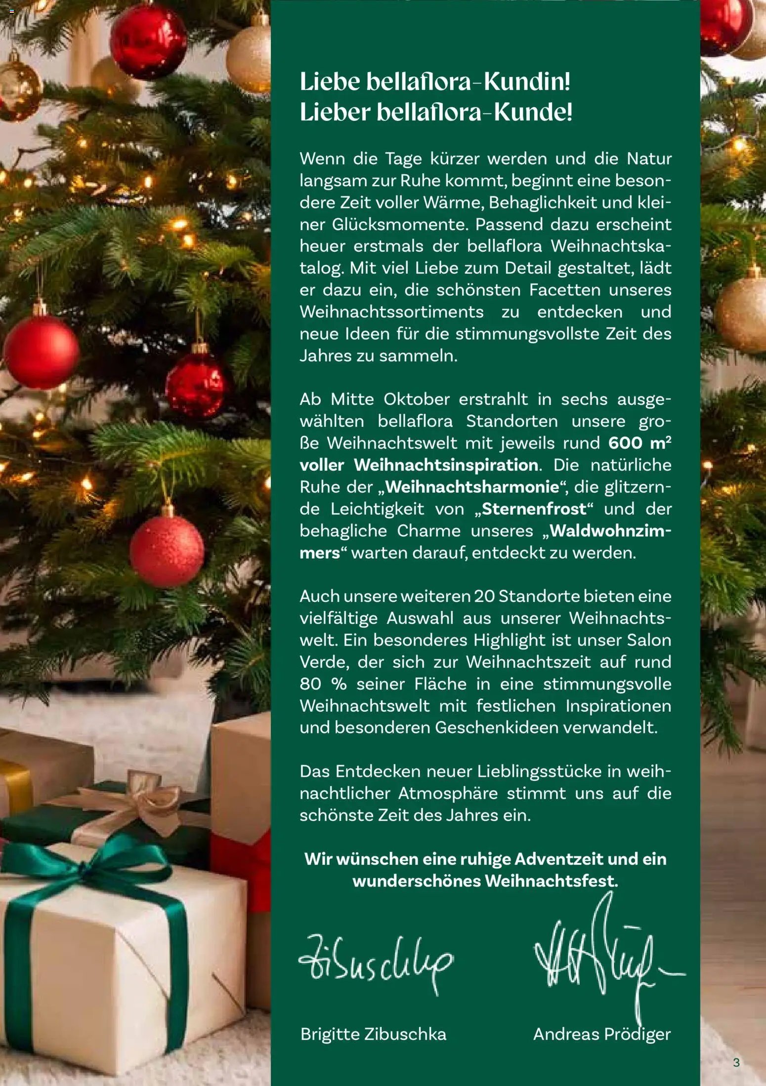 bellaflora Christmas