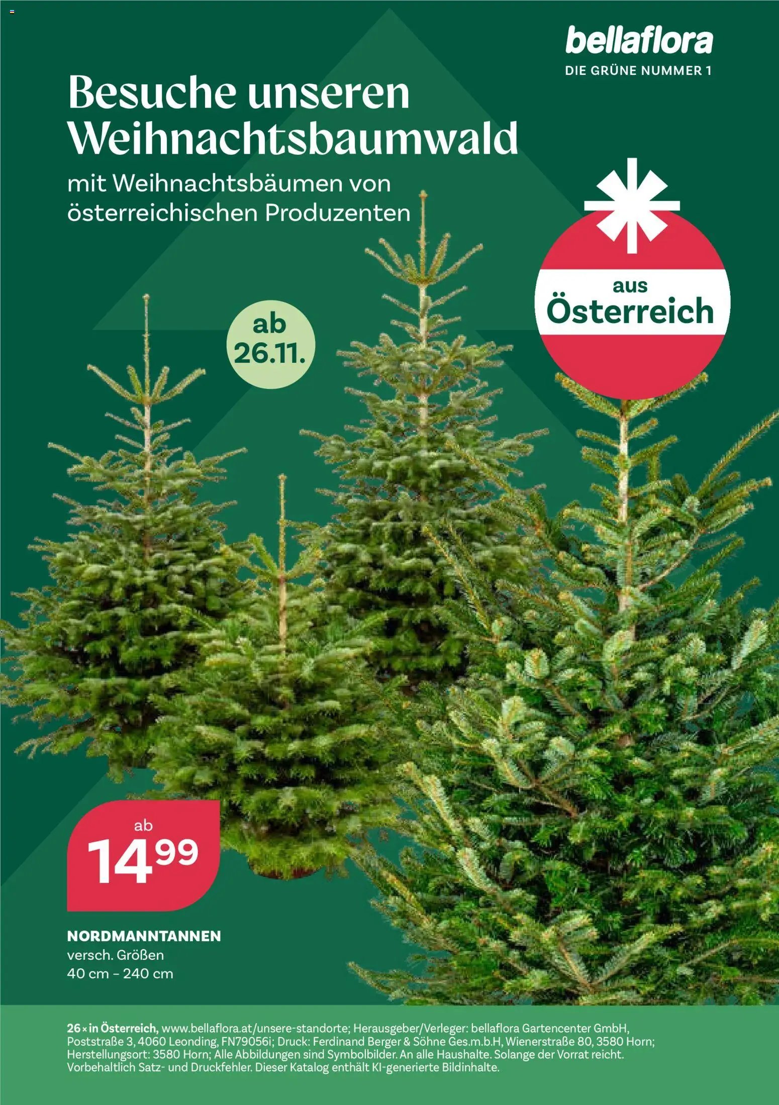 bellaflora Christmas