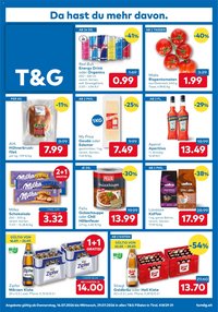 T&G Flugblatt