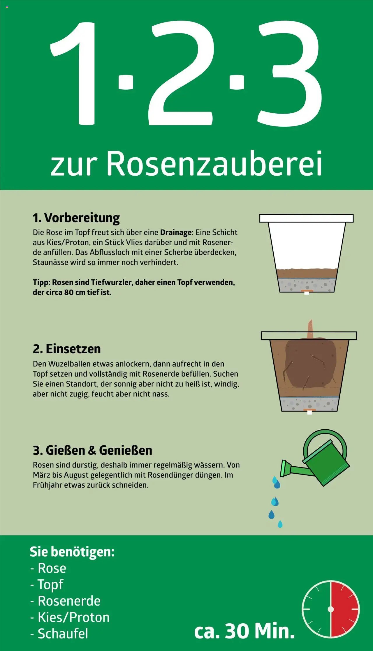 bellaflora - 1-2-3 zur Rosenzauberei