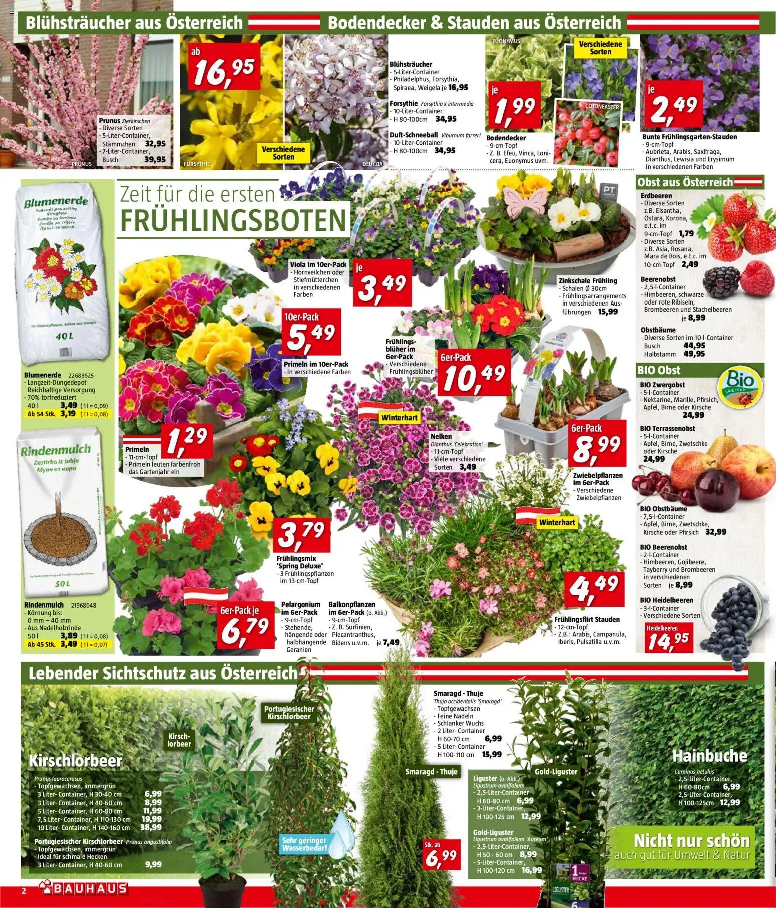 Bauhaus Prospekt aktuell