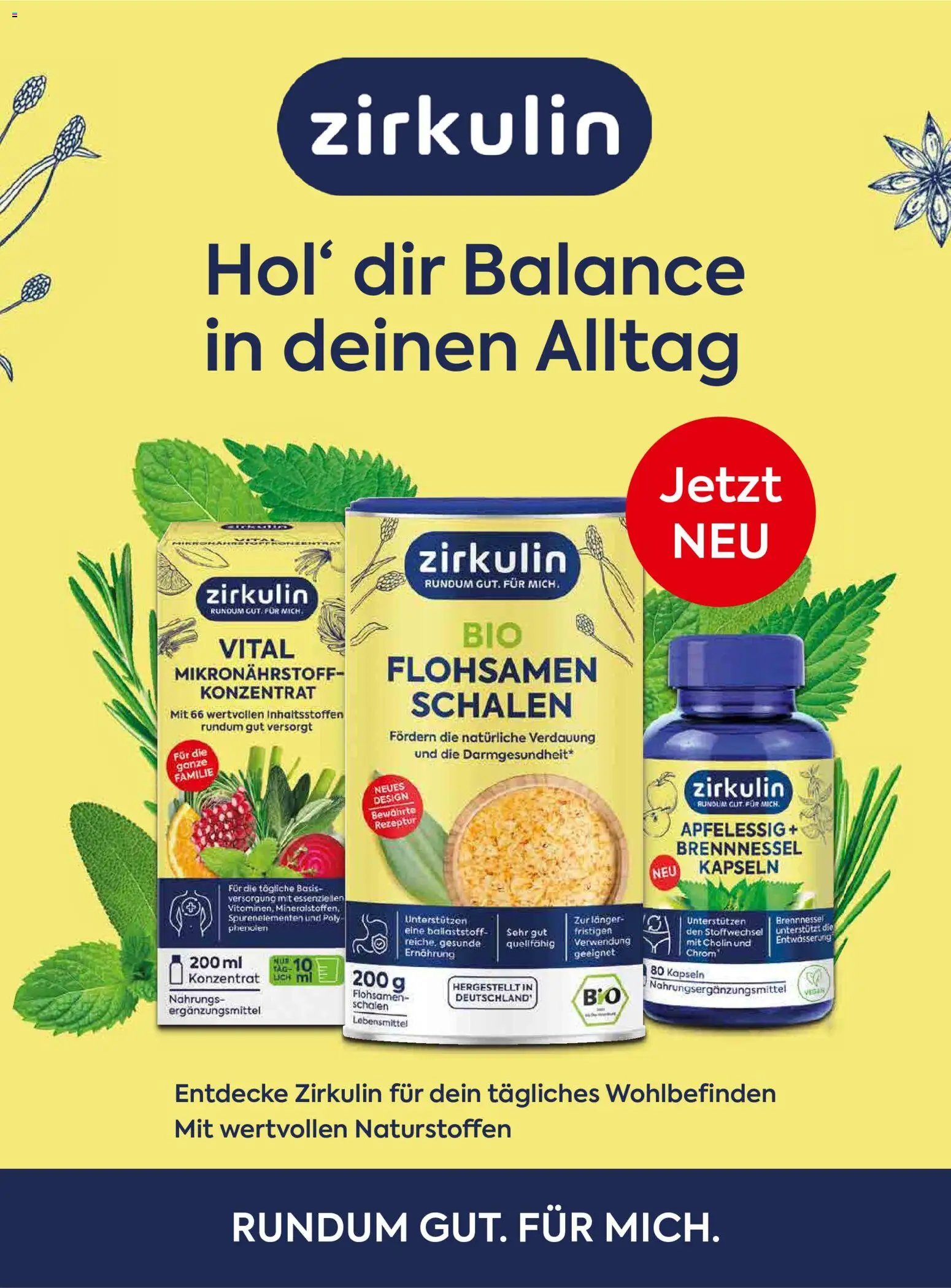 dm drogerie markt Active Beauty Family 06/2026