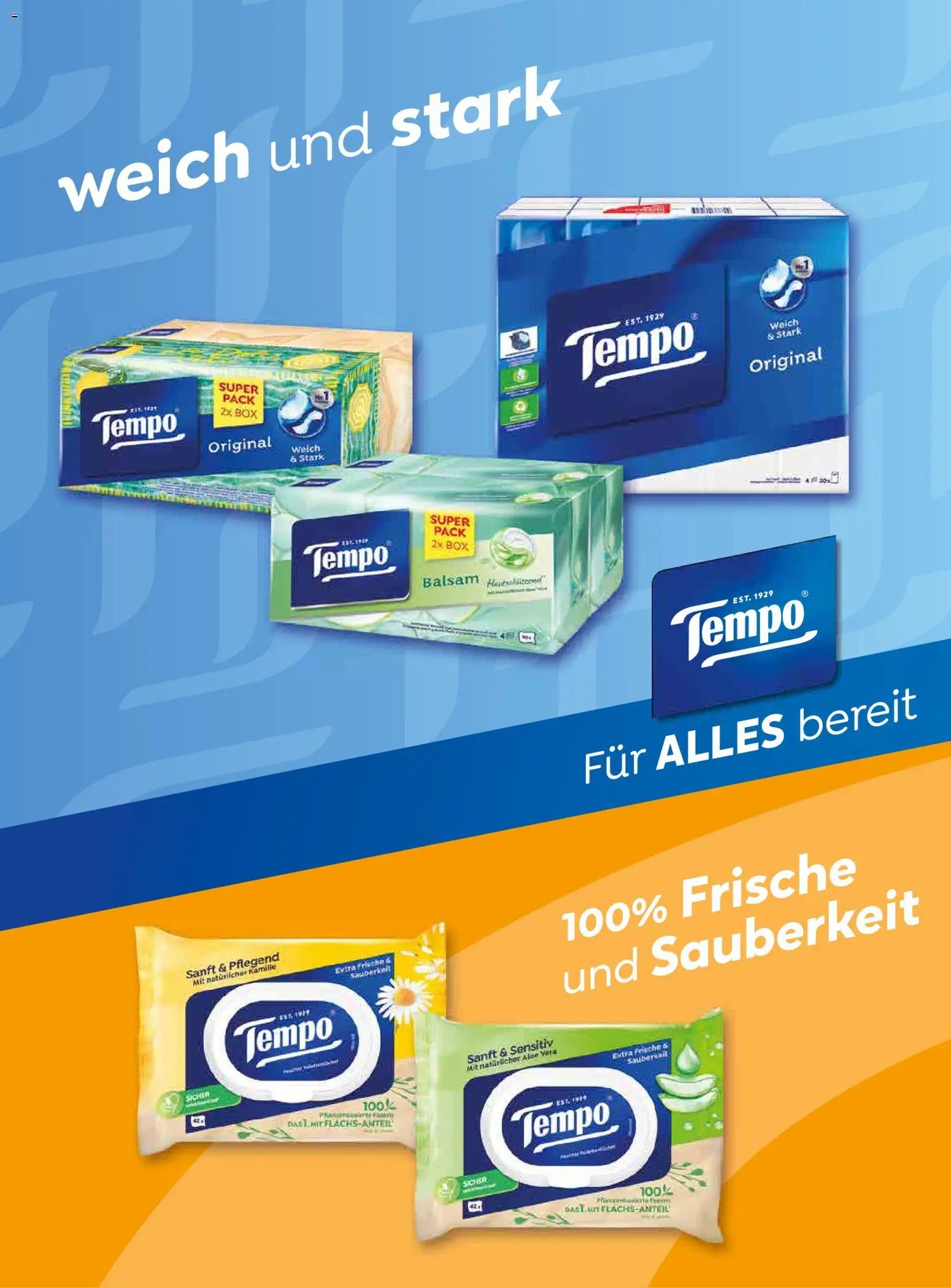 dm drogerie markt Active Beauty Family 06/2026