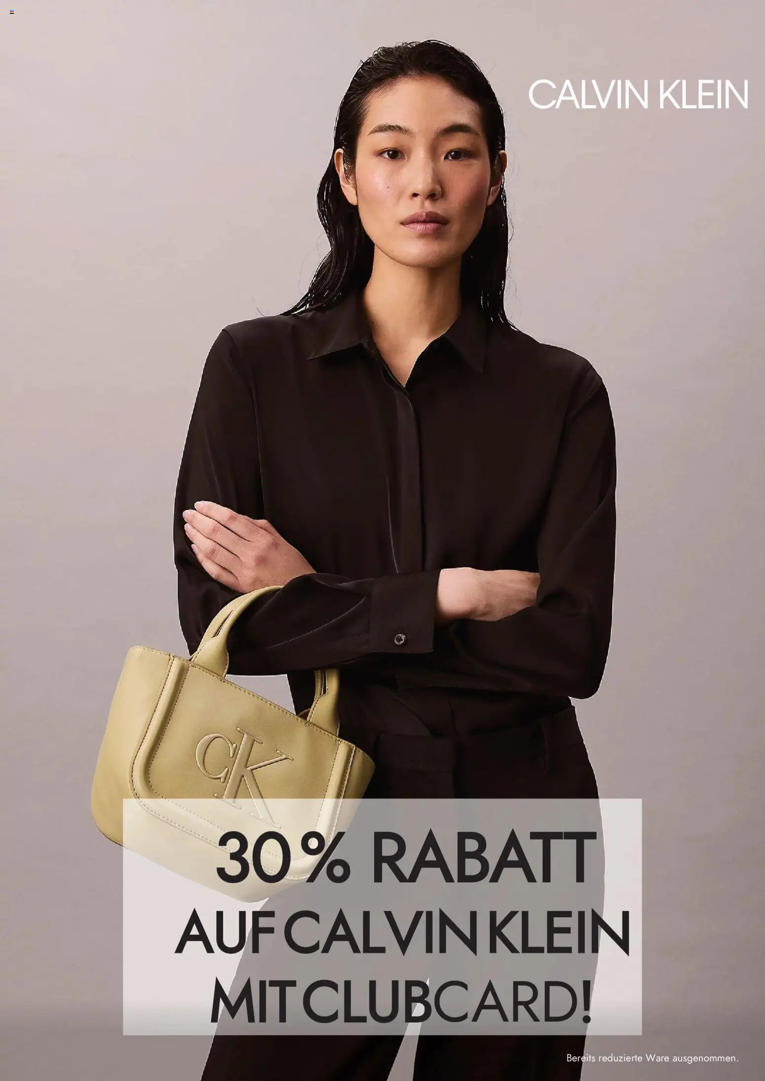 Travel FREE Flugblatt