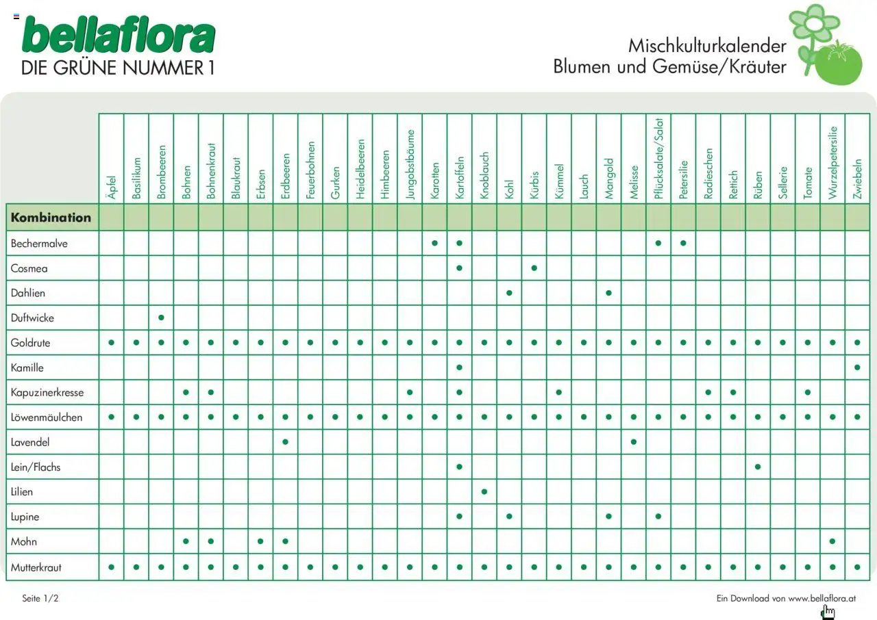 bellaflora - Mischkultur Blumen mit Gemüse/Kräutern