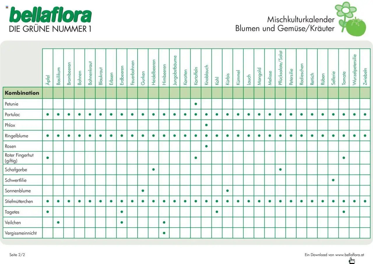 bellaflora - Mischkultur Blumen mit Gemüse/Kräutern
