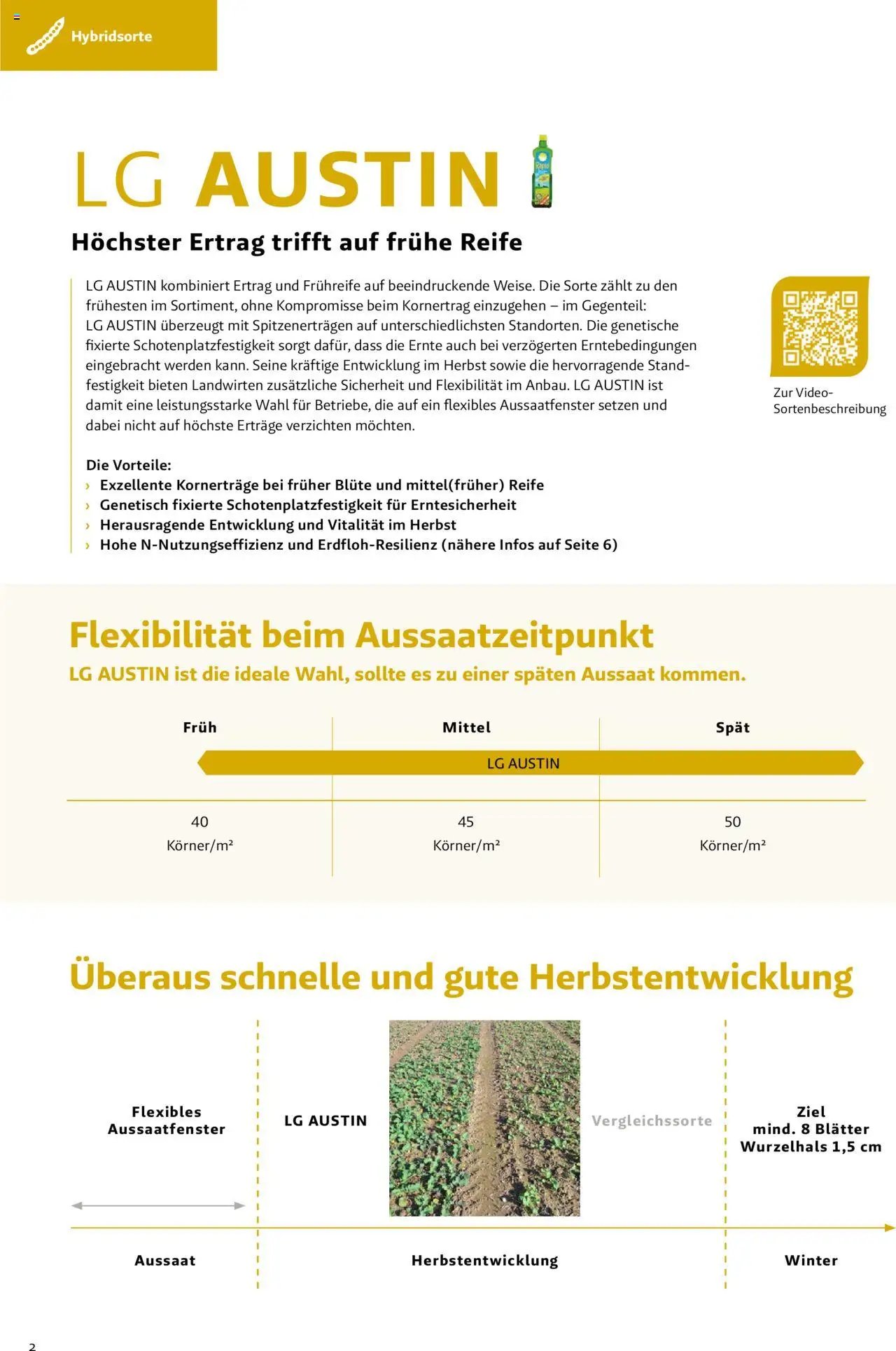 Lagerhaus Das Fachblatt für den Rapsanbau