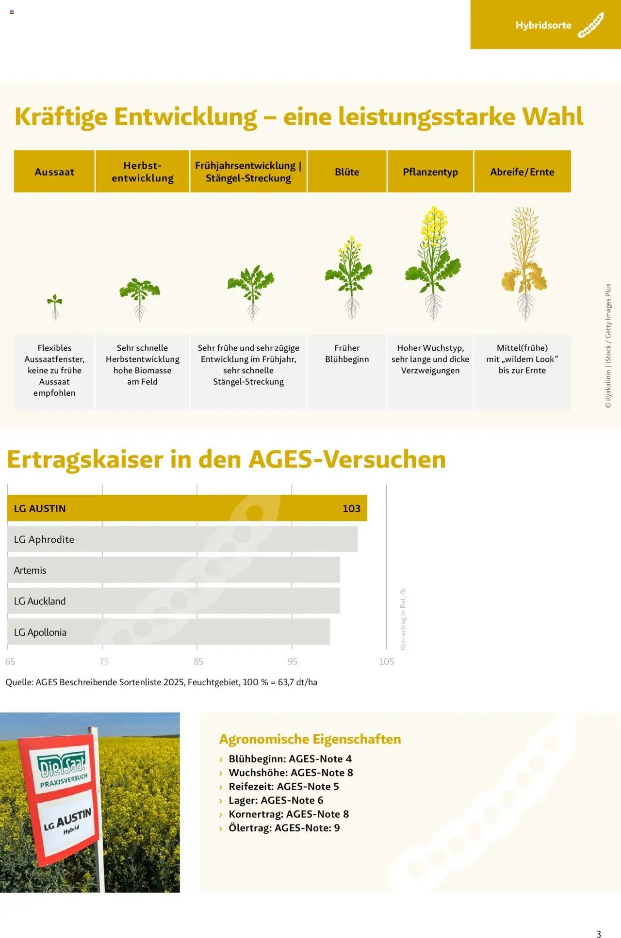 Lagerhaus Das Fachblatt für den Rapsanbau