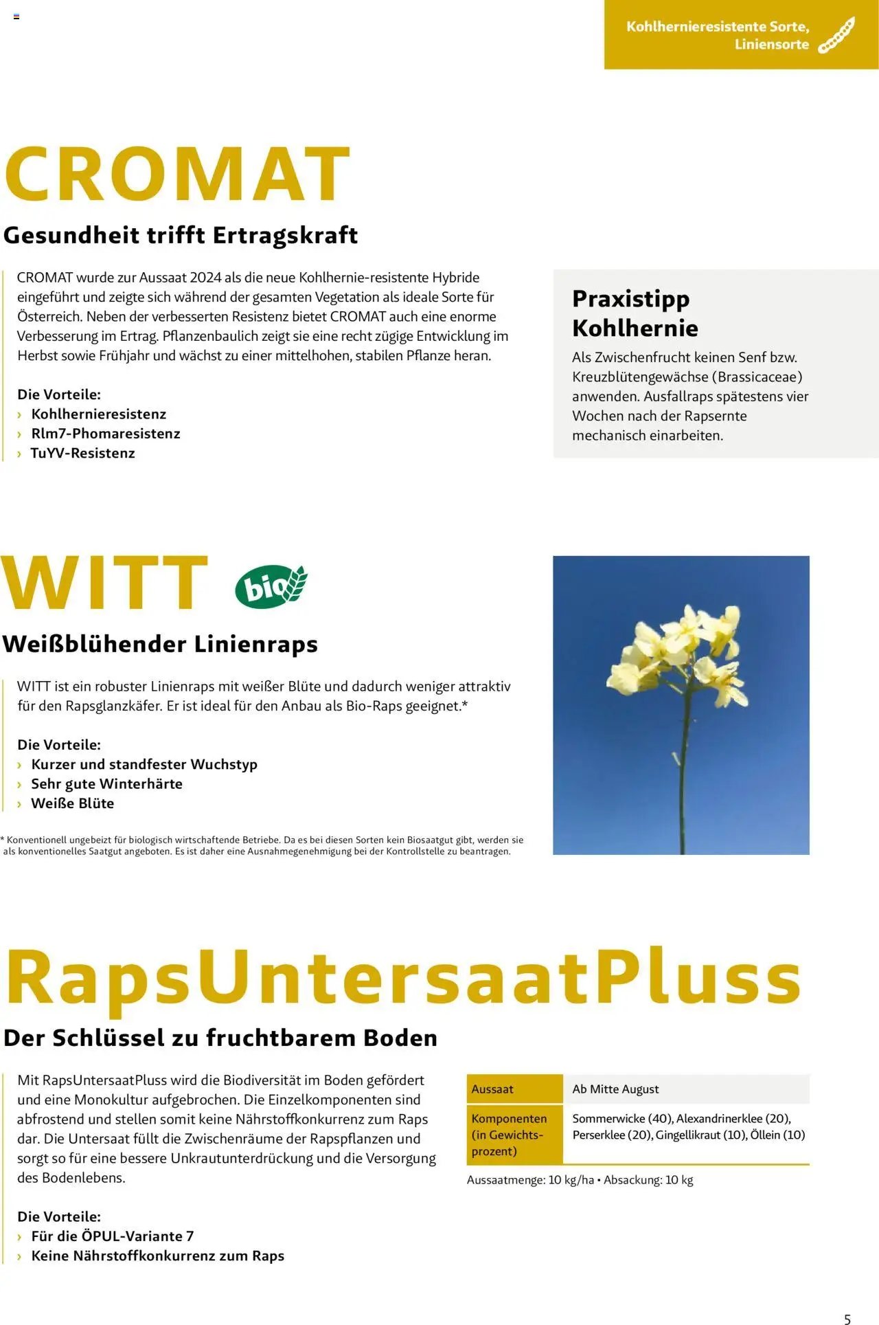 Lagerhaus Das Fachblatt für den Rapsanbau